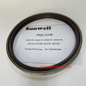 39Q6-12350 HYUNDAI R210-9S R260-9S R300-9S R520-9S HX220 HX300 HX520